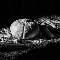 fev30 : Catherine BOURGEOIS