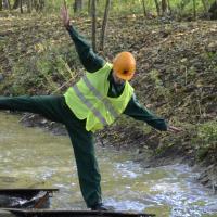 fev37 : France COTONNEC