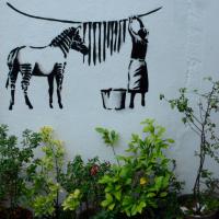 fev40 : France COTONNEC