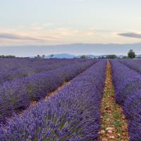 fev45 : Catherine BOURGEOIS