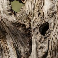 avril 32 : Philippe DUVAL