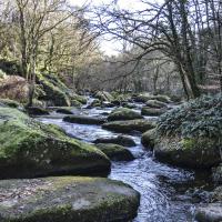 avril 42 : Annick MACHICOISNE