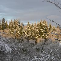 avril 05 : Annick MACHICOISNE