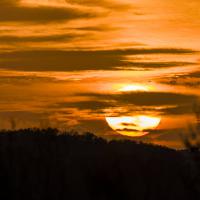 avril 14 : Catherine BOURGEOIS