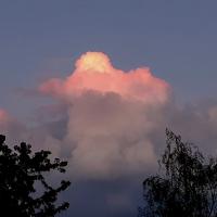 avril 21 : Jean Paul DELALANDE