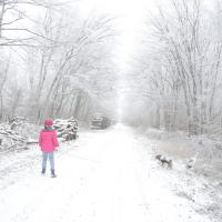 avril 30 : France COTONNEC