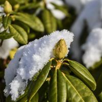 avril 31 : Annick MACHICOISNE