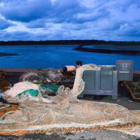 avril 39 : Annick MACHICOISNE