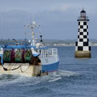 avril 43 : France COTONNEC