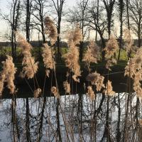 avril 44 : Pascal SOUCHARD